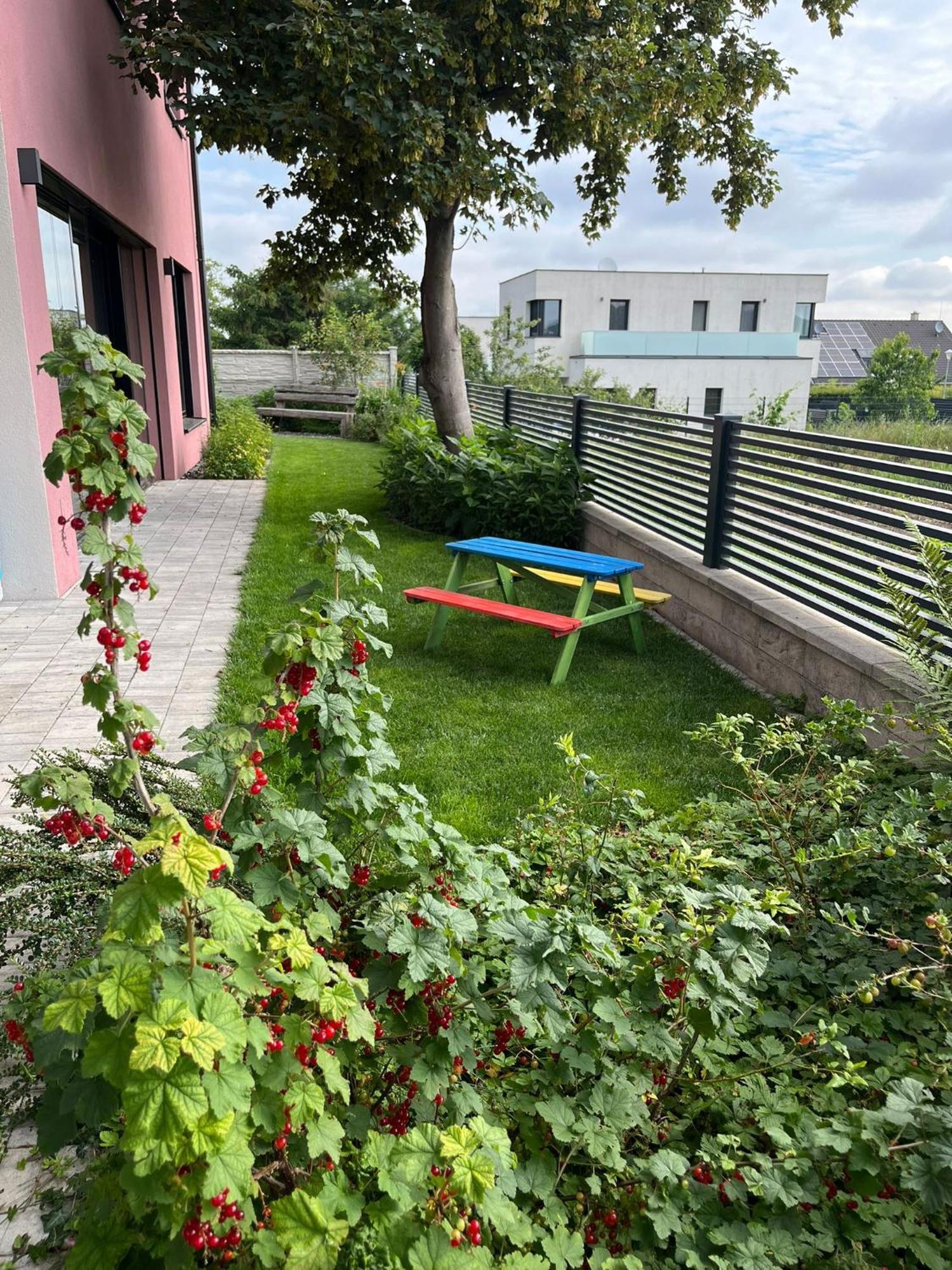 Villa Rose Close To Vienna & Airport Maria Ellend エクステリア 写真