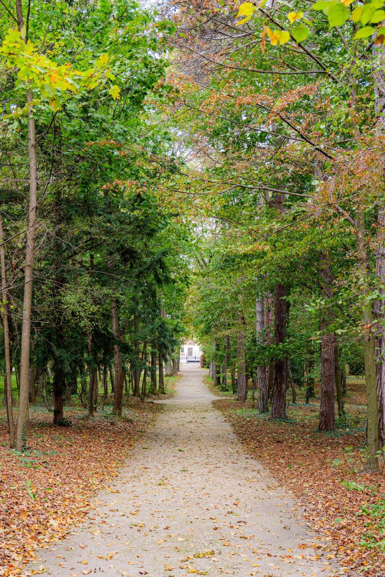 Villa Rose Close To Vienna & Airport Maria Ellend エクステリア 写真