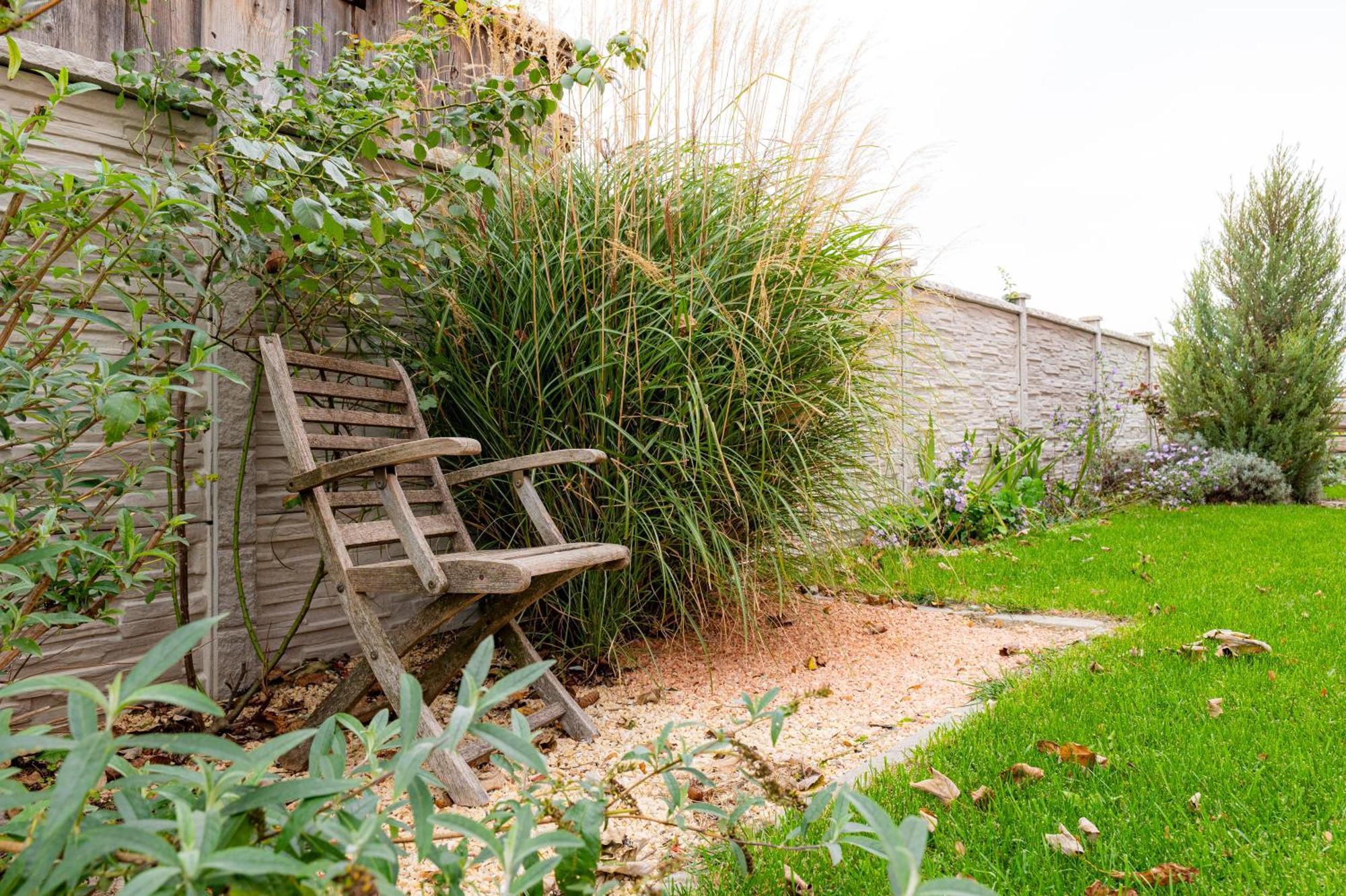 Villa Rose Close To Vienna & Airport Maria Ellend エクステリア 写真